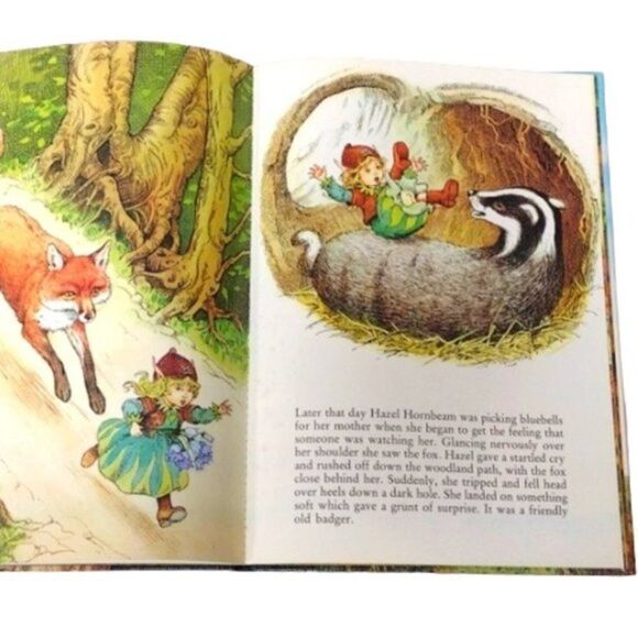 Toddy and the Fox Rainbows End Series Jane Patience Vintage 1987 Hardcover Book - Picture 7 of 8